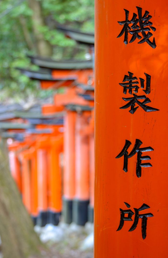Close-up of vibrant orange torii gates with Japanese characters in Kyoto, Japan.